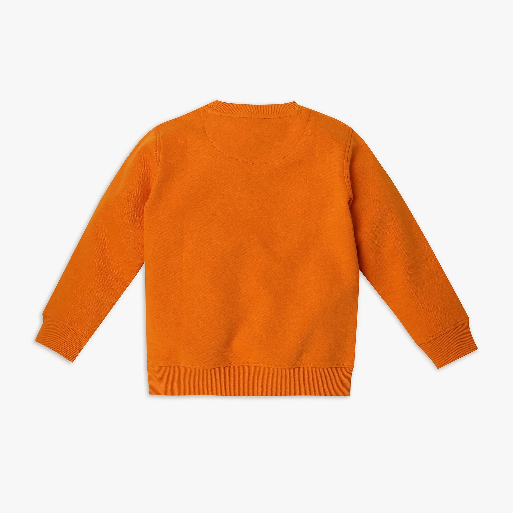 Boy's Regular Fit Graphic Sweat Tees