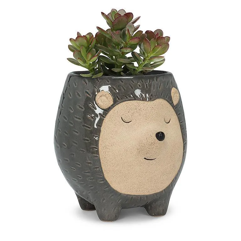 TALL HEDGEHOG PLANTER 5"H